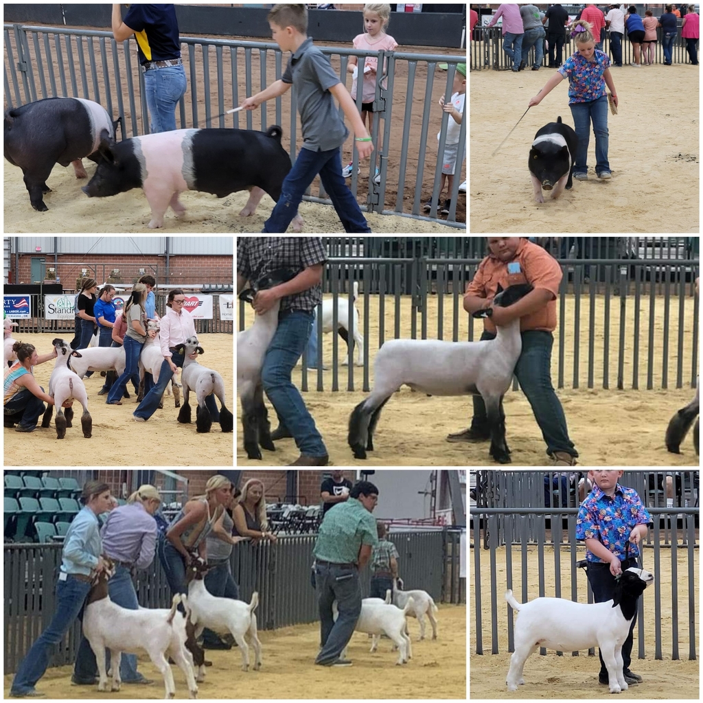 Grady County Fair