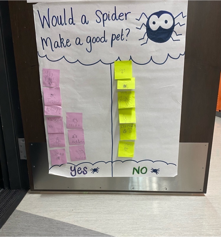 spiders