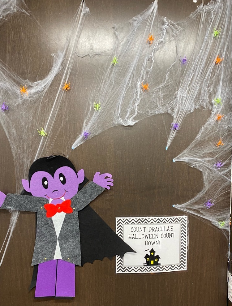 spiders