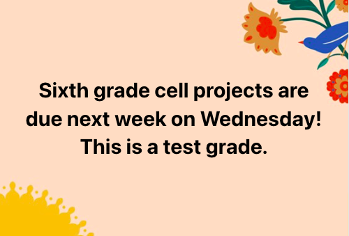 Cell Projects Due