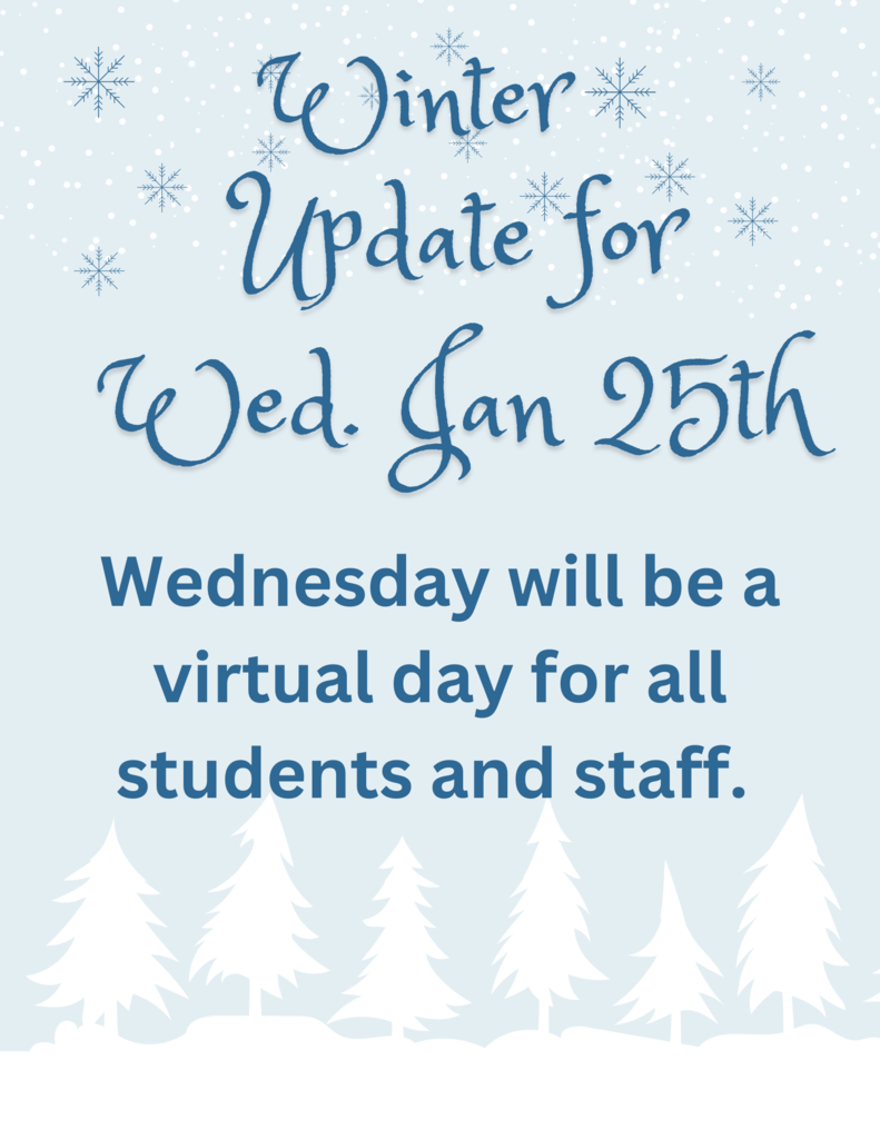 Wed Virtual Day