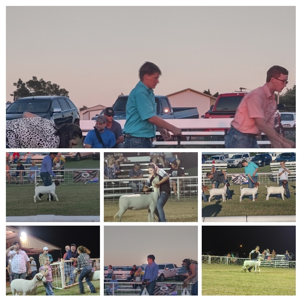 Fletcher Free Fair